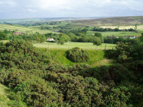 Greystones Bed & Breakfast