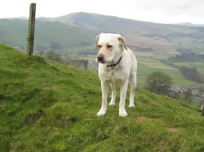 Hope Cottage Hope Valley