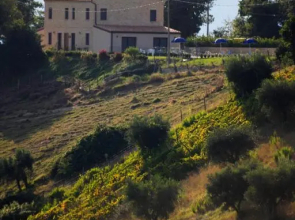 Agriturismo Fara