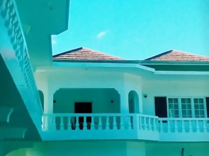 Palm Tree Guest House