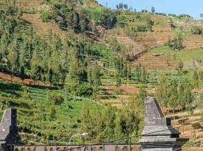 King Dieng Hotel
