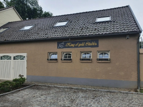 King of Gold Stables appartement met stalling voor 5 paarden