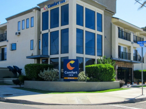 Hotel Avisa