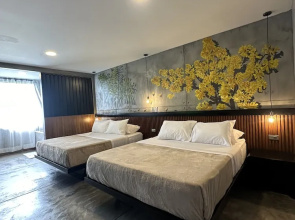 Eco Hotel La Colina Mirador Con Aire Acondicionado