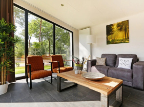 Wellness Forest Retreat