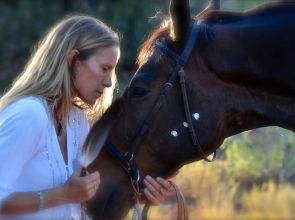 Sedona Sacred Rocks - The Fairy Suite