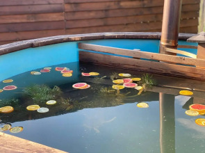 Happy Tree Camp (Хэппи Три Кемп)