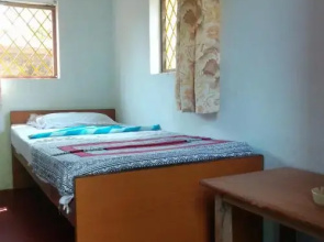 Session Haus Hostel