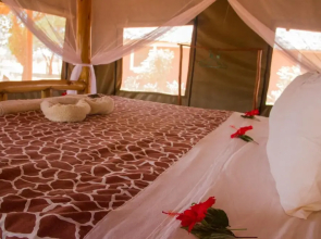 Lake Jipe Safari Camp