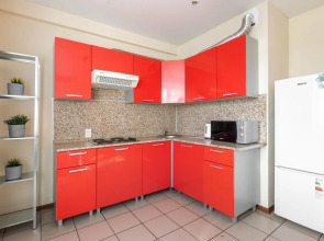 Tolstoy Apart Лейтейзена 9