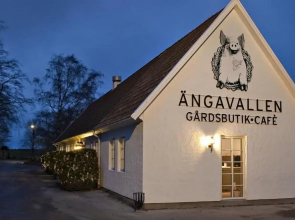 Ängavallen