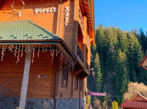Forest House