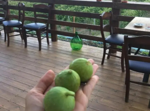 Agriturismo Tenuta Lagala