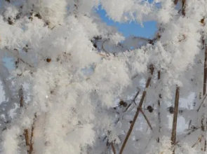 Gites de la Costerie