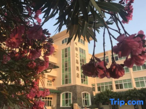 Green Island Yacht Hotel