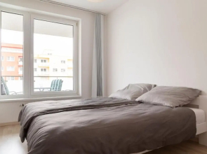 Great tourist and business Apartment near center