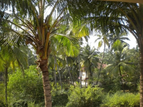Room Maangta 328 - Colva Goa