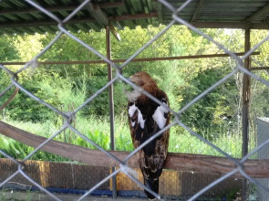 Raysky Ugolok Guest House