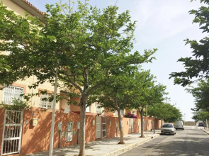 Valencia Flat Rental Perellonet