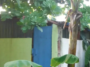 Jardín Tulum B&B