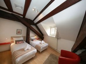 ColmarAppart BAUMGARTNER 117M