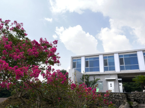 Jeju Color In Jeju Pension