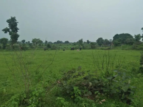 Prem Home Stay