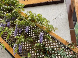 Hoşdere Bungalov