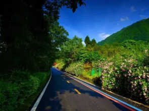 Youyang Meiju Homestay