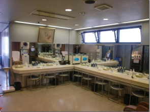 Tokyo Kiba Hotel