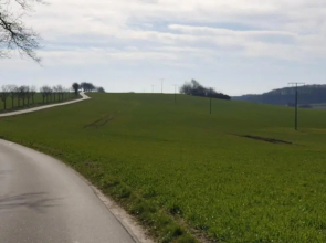 Idylle im Grünen