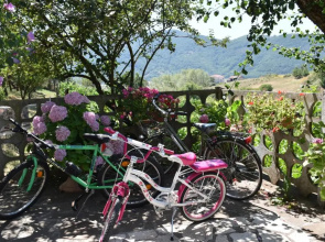 B&B Nel Verde