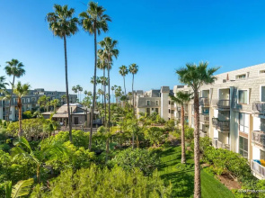 Pacific Palms