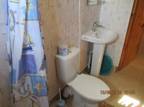 David Guest house