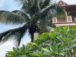 Jinghong Shangpin Hotel