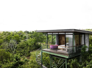 The Canopy
