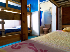 Ocean Tigers Hostel