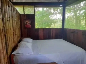 Centro espiritual luz del amazonas