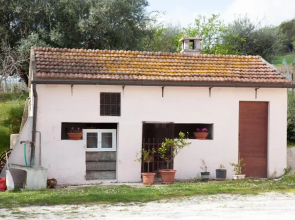 Le Piume B&b