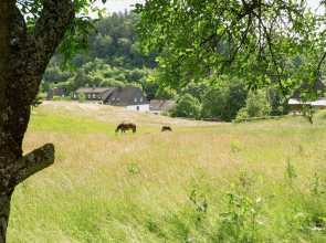 Serene Apartment near Ski Area in Hesborn