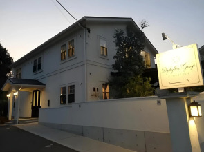 Guest House Diphylleia Grayi