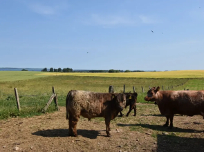 Lovely Farmhouse in Boiensdorf Amidst the Forest