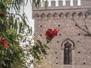 Torre dei Tauri