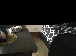 Star Hotel/Motel