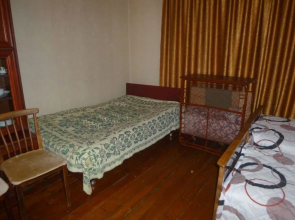 Guest House Vashlovani