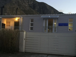 A Whale of A Time - Hermanus