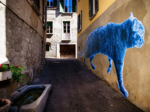 Casa D'Artista