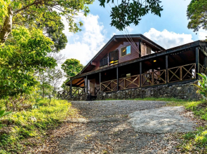 Izumi'S Forest Cabin