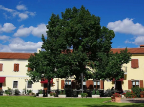 Center Hotel