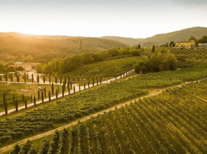 Palagina Il Borgo Agricolo
